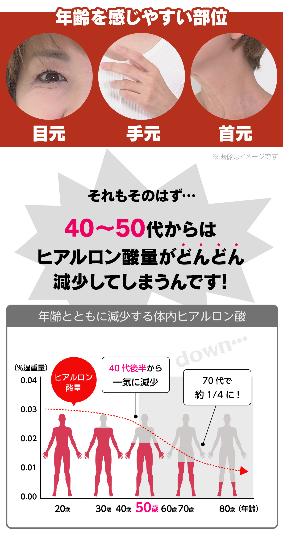それもそのはず…40〜50代からはヒアルロン酸量がどんどん減少してしまうんです!