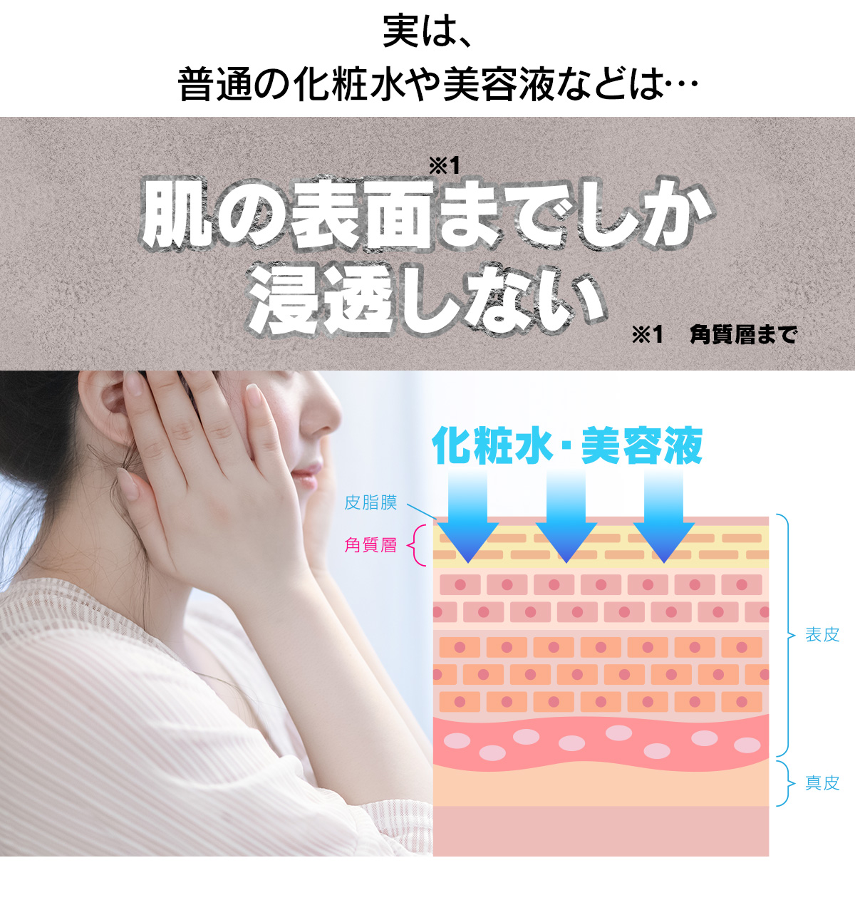 実は、普通の化粧水や美容液などは…肌の表面までしか浸透しない