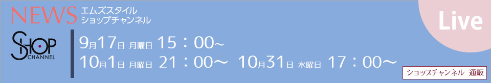 MS STYLE ����åץ����ͥ�